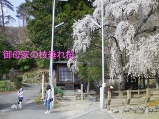 180404-8.jpg