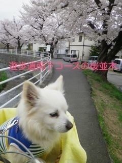 180405-1.jpg