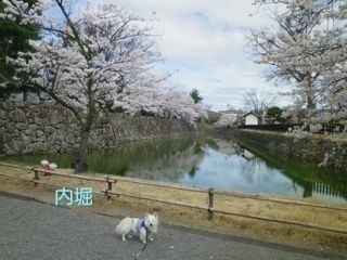 180405-3.jpg