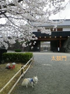180405-4.jpg
