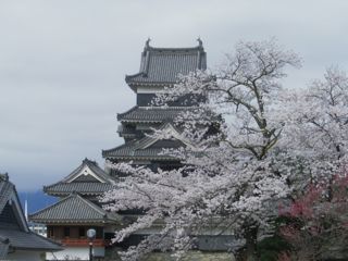180405-8.jpg
