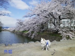 180405-9.jpg