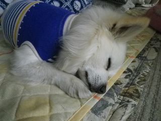 180406-1.jpg