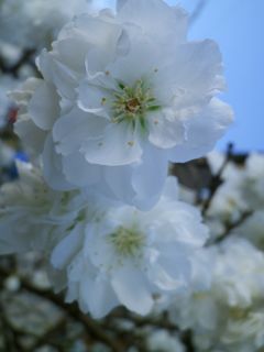 180409-2.jpg