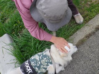 180417-1.jpg