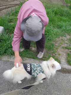 180417-2.jpg