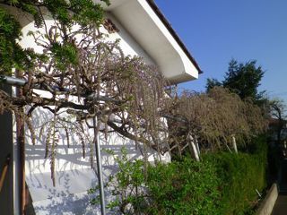 180420-2.jpg