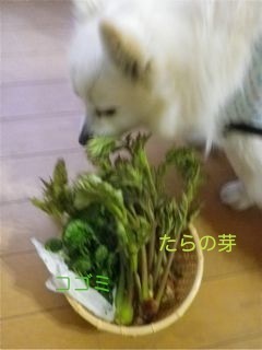 180420-4.jpg