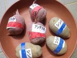 180423-2.jpg