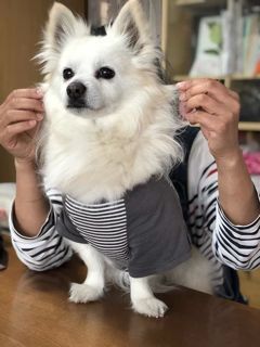 180425-si2.jpg