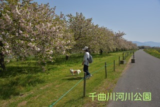 180429-k12.jpeg