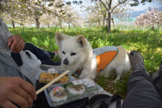 180429-k14.jpeg