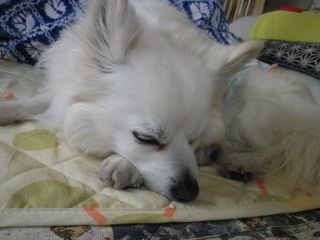 180502-4.jpg