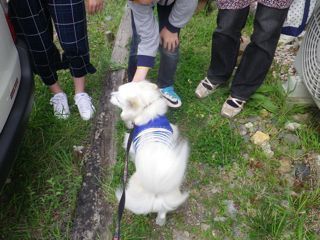 180503-1.jpg