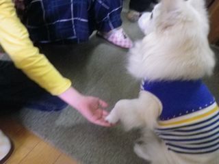 180503-4.jpg