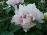 180504-2.jpg
