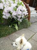 180504-3.jpg