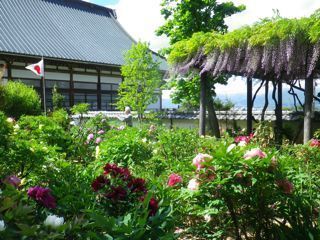 180504-5.jpg