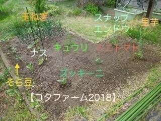 180506-1.jpg