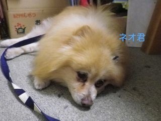 180507-4.jpg