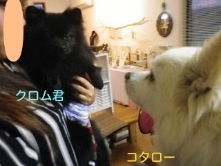 180507-5.jpg