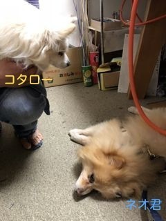 180507-n1.jpg