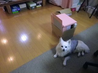 180508-4.jpg
