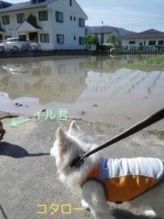 180511-1.jpg