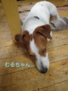 180511-4.jpg