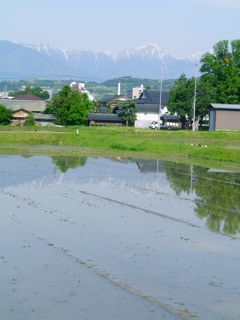 180514-1.jpg