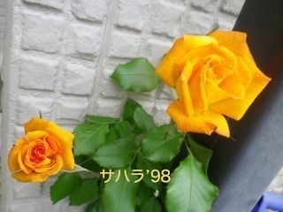 180518-1.jpg
