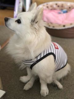 180518-si1.jpg