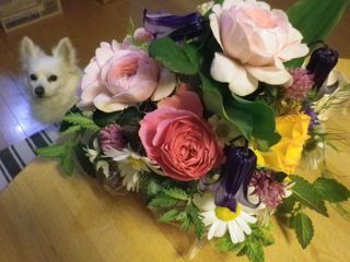 180519-10.jpg