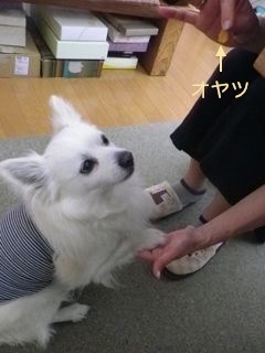 180519-3.jpg