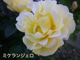 180519-7.jpg