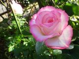 180519-8.jpg
