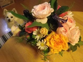 180519-9.jpg