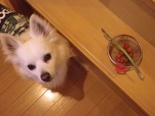 180524-2.jpg
