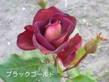 180527-2.jpg