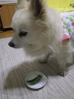 180529-2.jpg