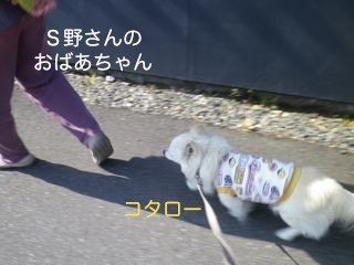 180602-1.jpg
