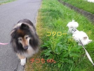 180606-1.jpg