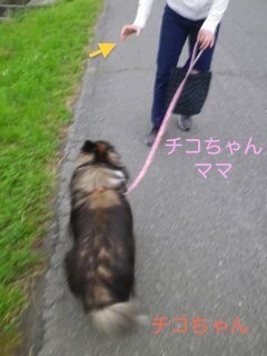 180606-2.jpg