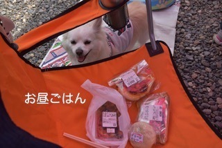 180609-k4.jpeg