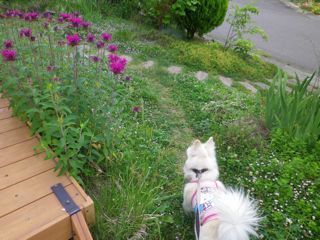 180611-1.jpg