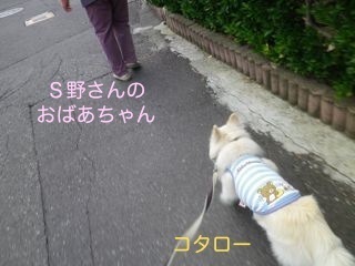 180613-1.jpg