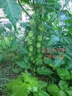 180622-3.jpg