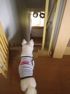 180624-1.jpg
