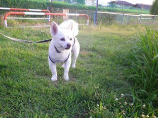 180624-3.jpg