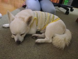 180629-2.jpg